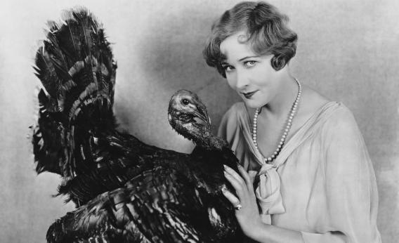 Happy Thanksgiving/National Elastic Waistband Day, from HeathyrWolfe.com!! And Happy Birthday Jamie Lee&nbsp;Curtis!